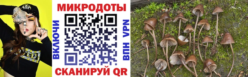 как найти наркотики  Арамиль  Галлюциногенные грибы мицелий 